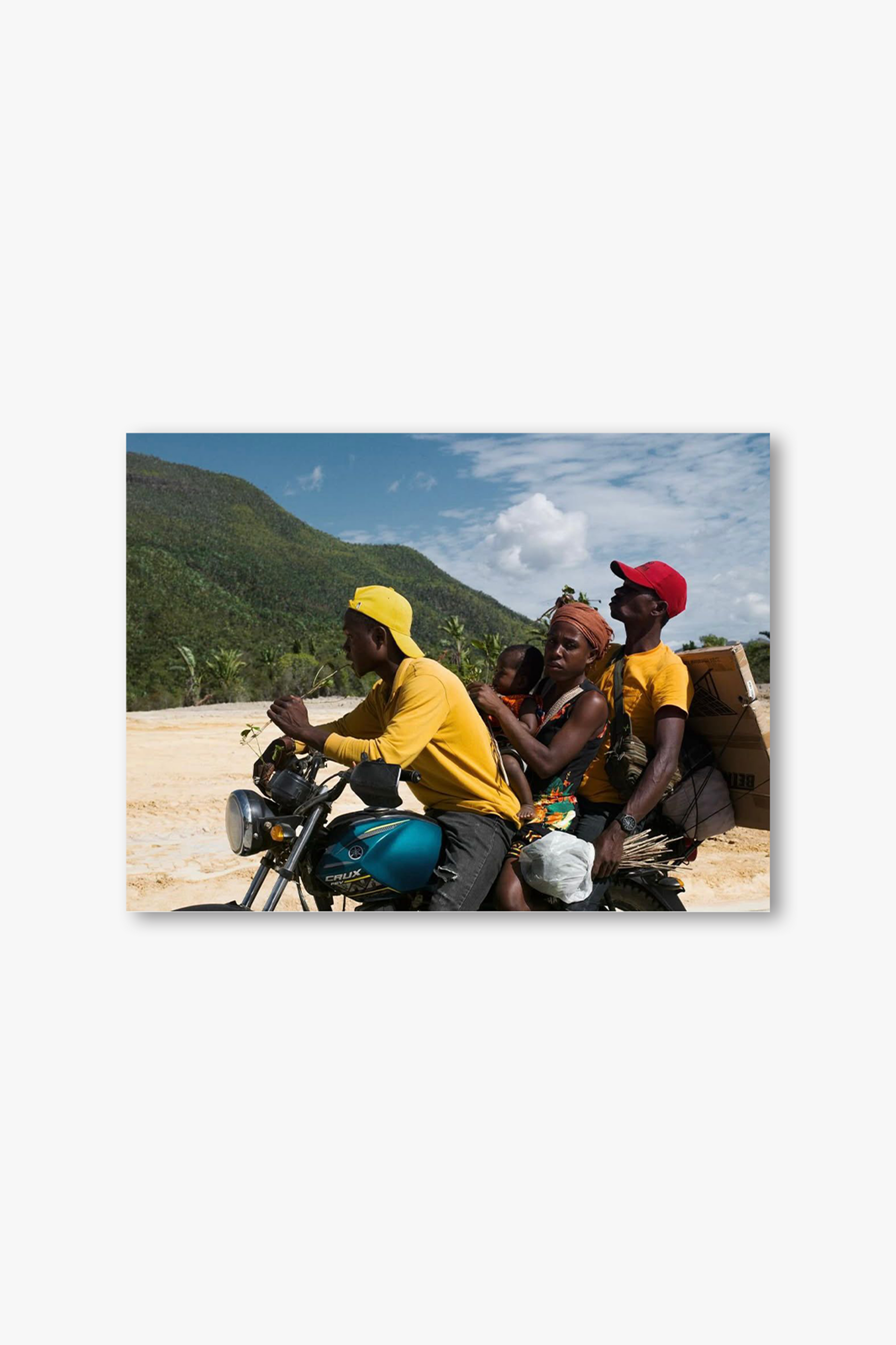 Where the Struggles Bloom Martin Josserand